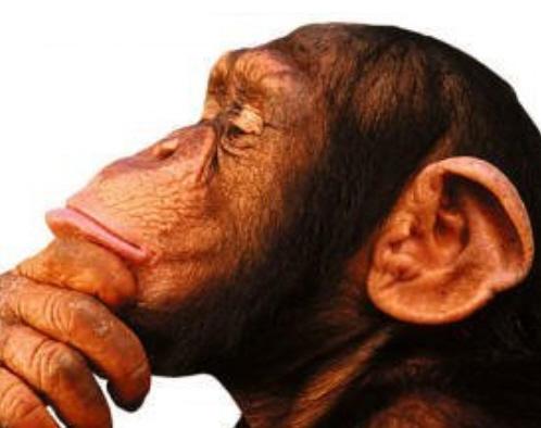 http://cms7.blogia.com/blogs/s/se/ser/serrizomatico/upload/20070520063508-20051126125207-mono-pensador.jpg