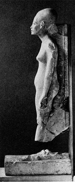http://www.utexas.edu/courses/classicalarch/images1/NefertitiAmarnasculpt.jpg