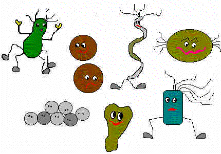 http://www.cnpab.embrapa.br/educacao/baby/bacteria.gif