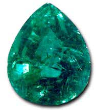 Esmeralda Reina Carolina | Carolina Queen Emerald
