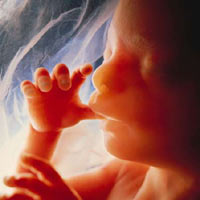 http://www.libertaddigital.com/fotos/noticias/sufeto3.jpg