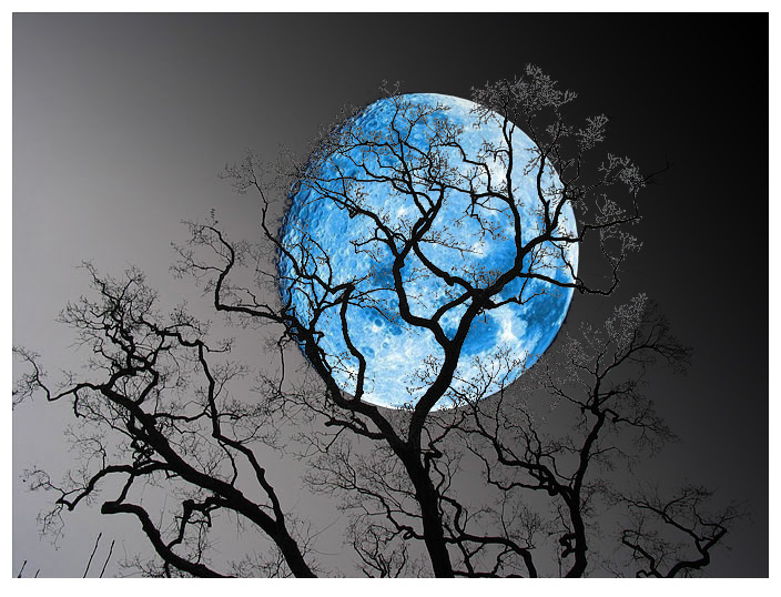 http://www.tascapane.it/home/images/stories/blue_moon-1.jpg