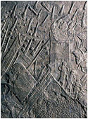Fig. 14. The relief: the attack on the city-gate