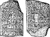 Ninkasi Stone