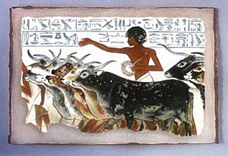 Nebamun herdboy wall painting