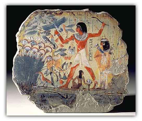 nebamun hunting birds in the marshes