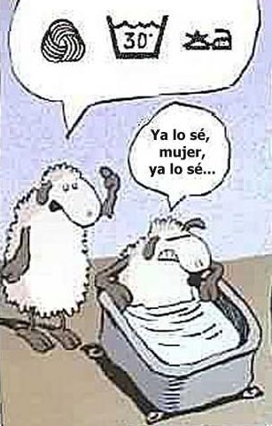 http://kalimochoweb.iespana.es/imagenes/oveja.jpg