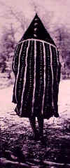 fotoahainc.jpg (26696 bytes)