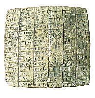 MS 2462