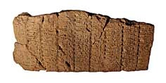 MS 3173