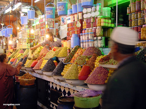 http://places.mongabay.com/morocco/market.jpg