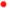 puntaroja.gif (286 bytes)