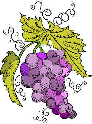http://www.saltspring.com/oldisland/images/557_grapes.gif