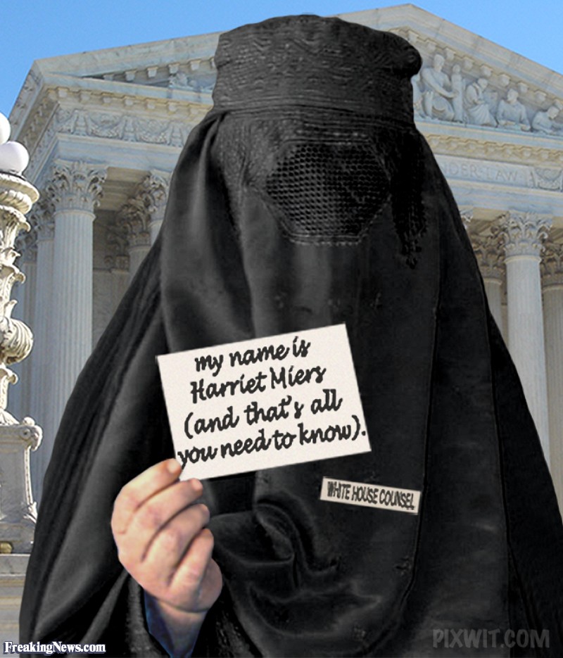 http://www.freakingnews.com/pictures/13500/Burka--13604.jpg