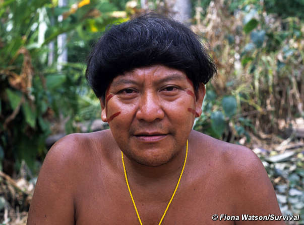 http://assets.survivalinternational.org/pictures/283/Davi_screen.jpg