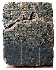 ms2367/1