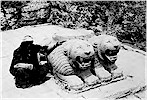 Lion columnbase
