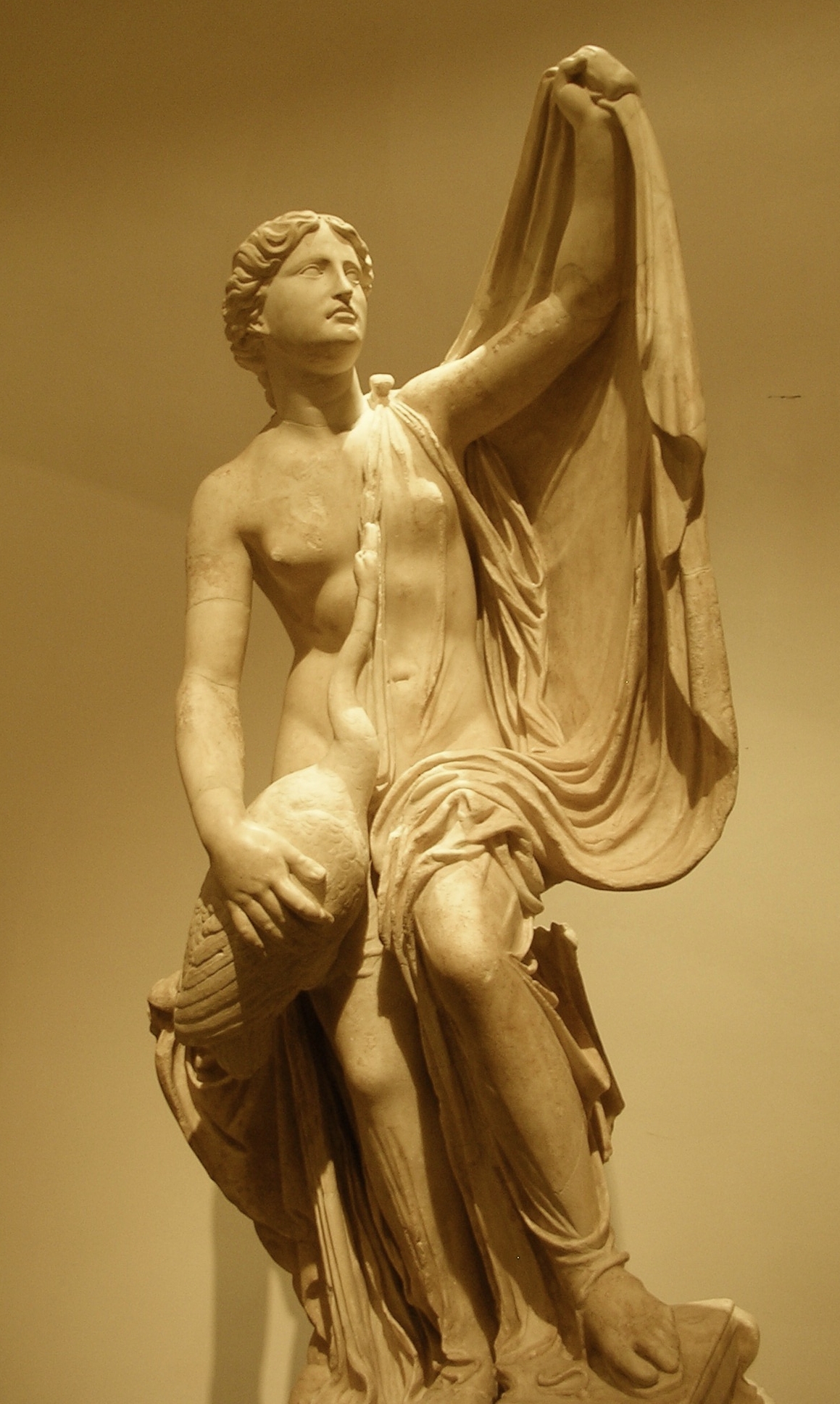 http://upload.wikimedia.org/wikipedia/commons/1/1c/Leda_and_Zeus_%28Swan%29.jpg