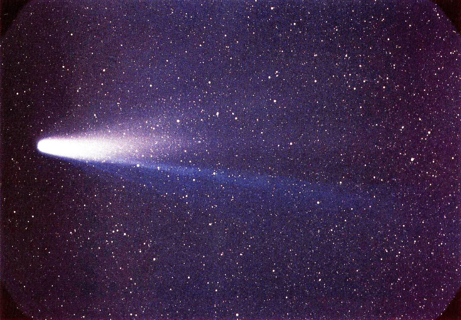 http://upload.wikimedia.org/wikipedia/commons/2/2a/Lspn_comet_halley.jpg