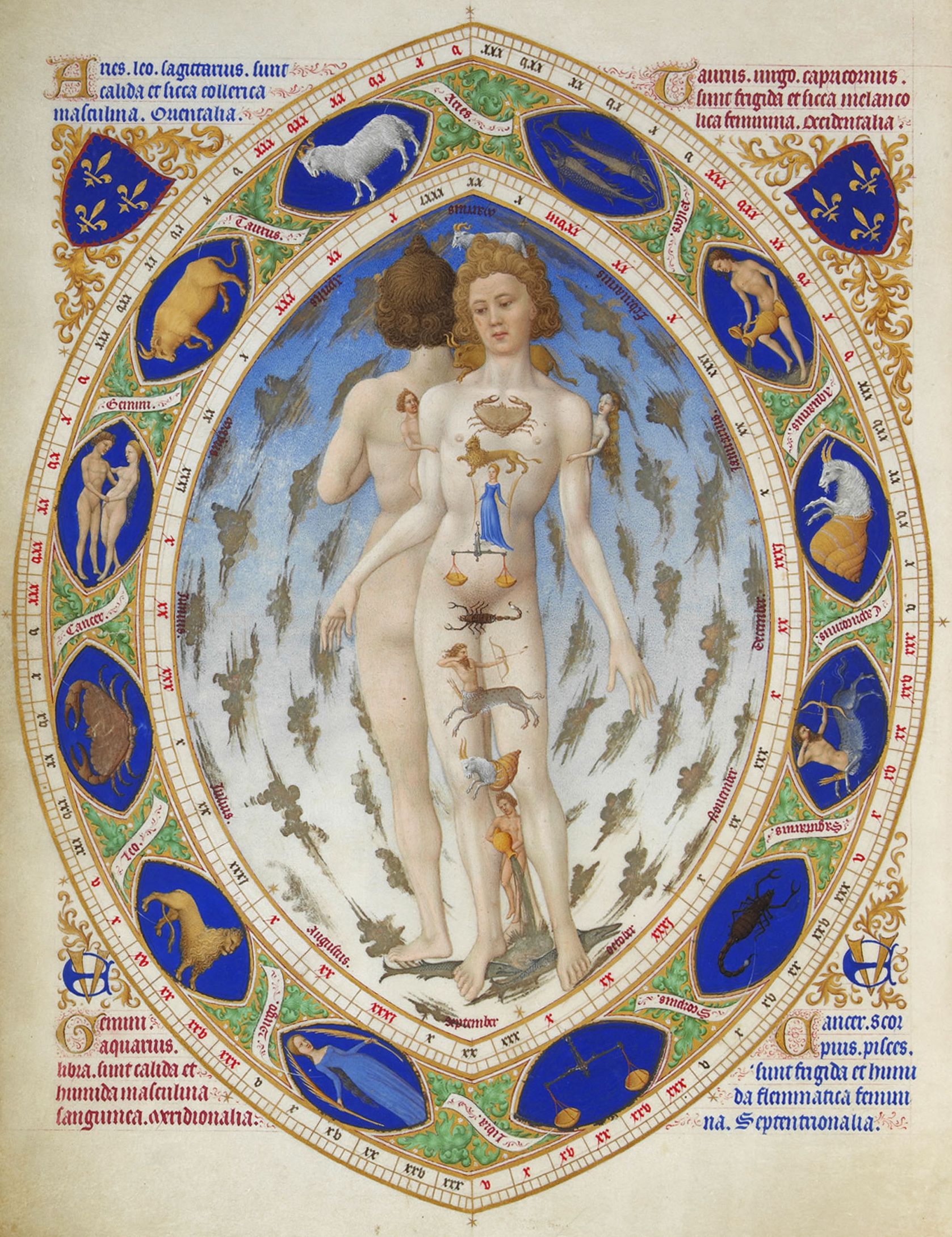 http://upload.wikimedia.org/wikipedia/commons/7/76/Anatomical_Man.jpg