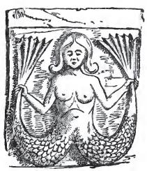 http://upload.wikimedia.org/wikipedia/commons/c/c6/Curious_Myths_p_471_Melusina.jpg