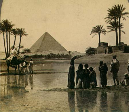 http://upload.wikimedia.org/wikipedia/commons/f/f4/PyramidDatePalms.jpg