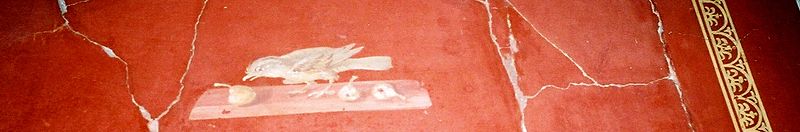 Archivo:Oplontis Pièce 81 oiseau et frise 1.jpg