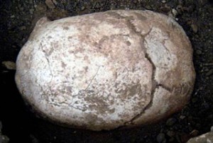 Hallan  el cerebro  de una niña, sacrificada ritualmente a los 12-15 años,hace unos 6.000 años ( Old brain found in cave)