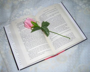 flor-libro-3