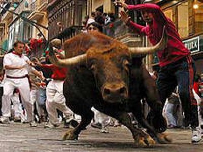 http://turisticut.com/wp-content/uploads/2010/01/bull-san-fermin.jpg